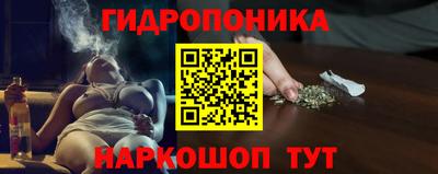 индика Первоуральск