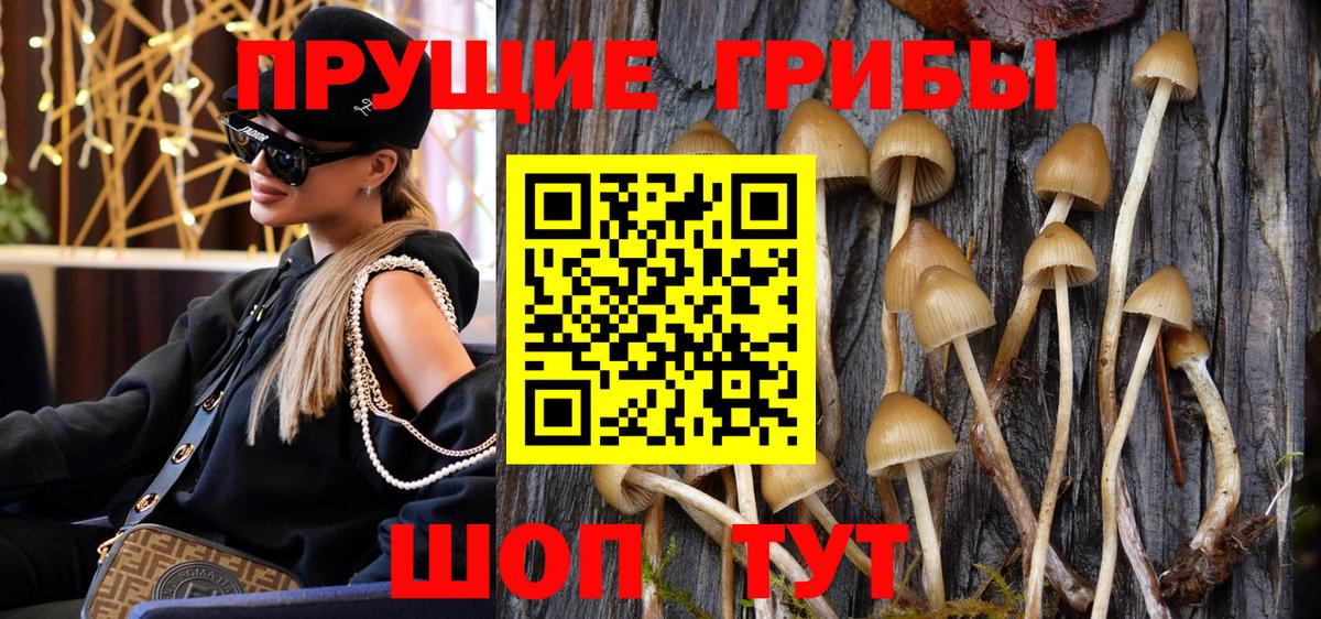 Галлюциногенные грибы MAGIC MUSHROOMS Ростов-на-Дону