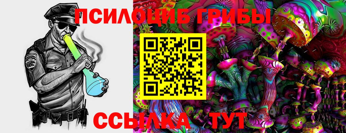Ростов-на-Дону  Псилоцибиновые грибы Psilocybine cubensis  Вход с VPN 